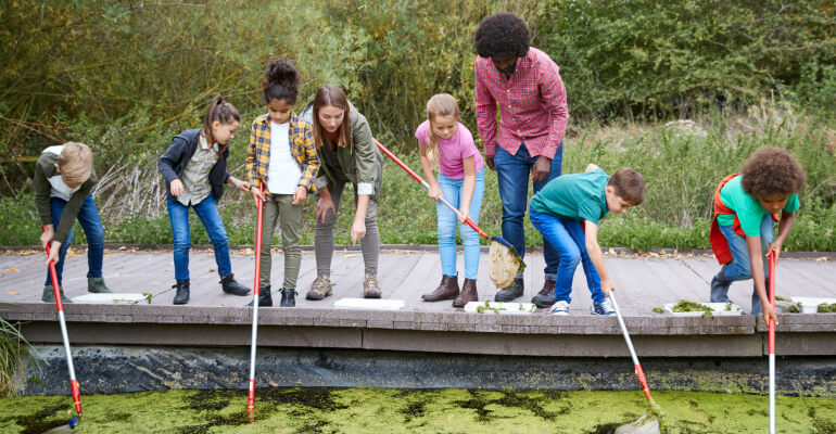 Group of six students and two educators stand on a dock, with a wooded area behind them and a body of water with algae in it in front of them. The students hold long nets and scoop at the algae while the teachers point.