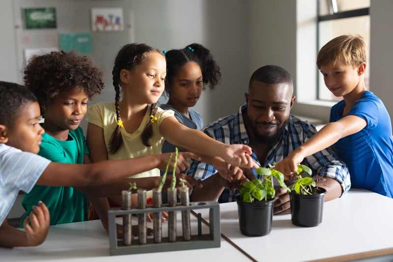 Elementary School Teacher Helping Students with STEM Learning